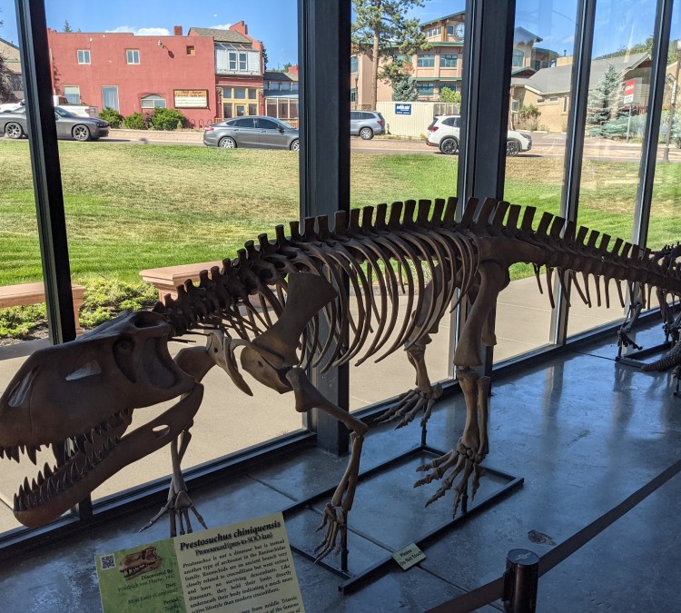 Rocky Mountain Dinosaur Resource Center (Woodland&nbspPark,&nbspCO)